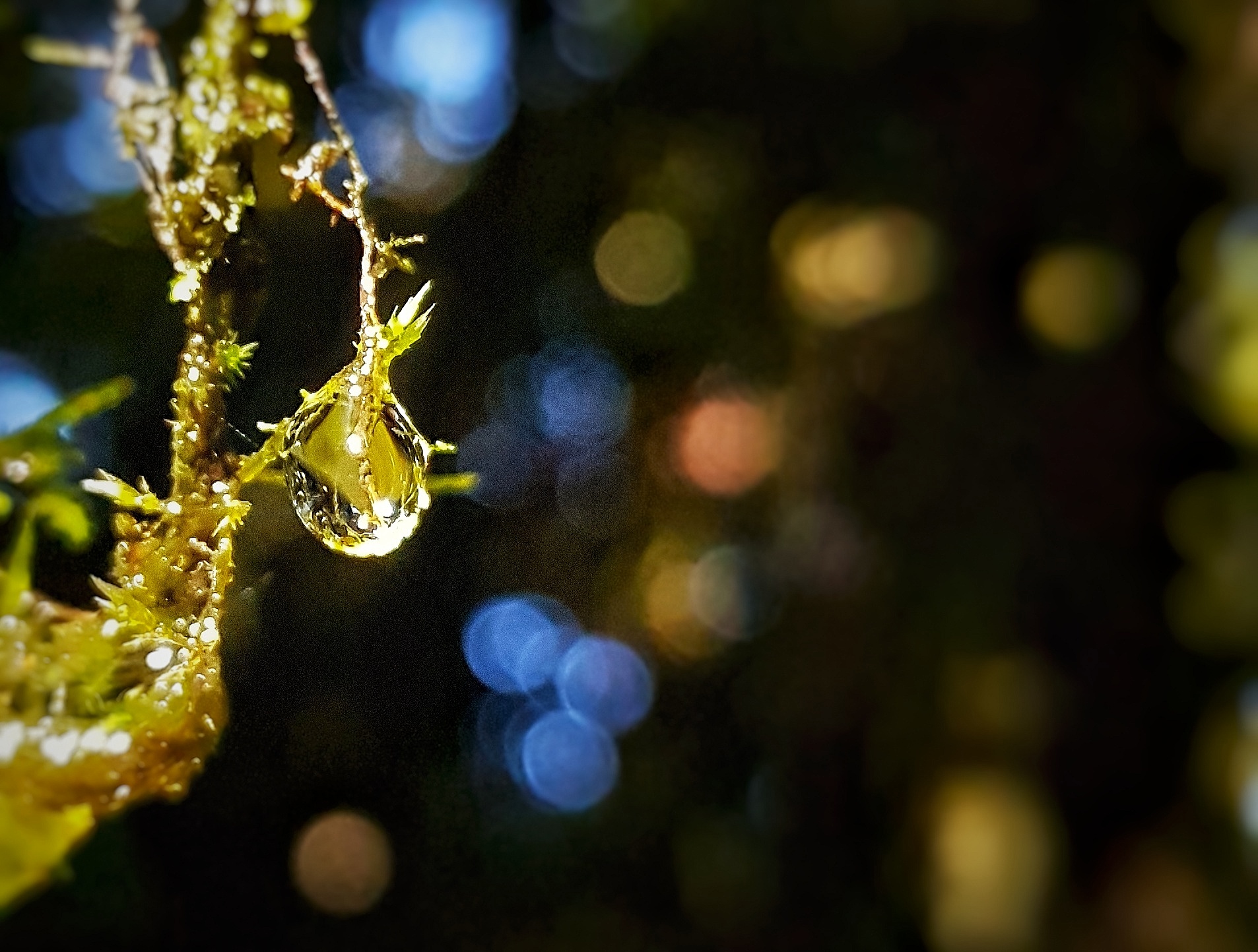 Water droplet with black backdrop